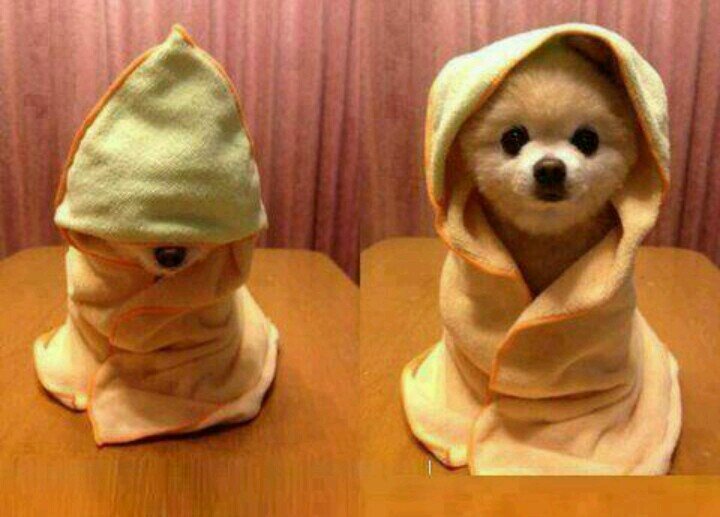 zacard124's profile picture. 