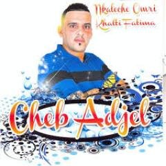 ana fnan gamel 2013