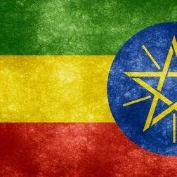 Ethiopian Intellectual Property Professionals Association. Gateway to IP in Ethiopia.#IP4Development