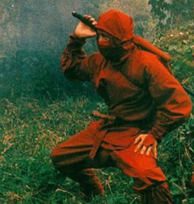 BornNinja's profile picture. Think, Re-Think, Act, Move; Ninja.