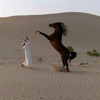 ٱكثر ماحبه فالحياة الطفاقة 
وآكره ماشوف الحر لاصار مملوك