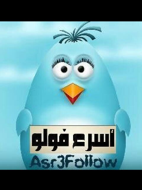 الأول عالمياً في معدل الرتويت اليومي | حساب أسرع فولو هو حسابكم ولخدمتكم |