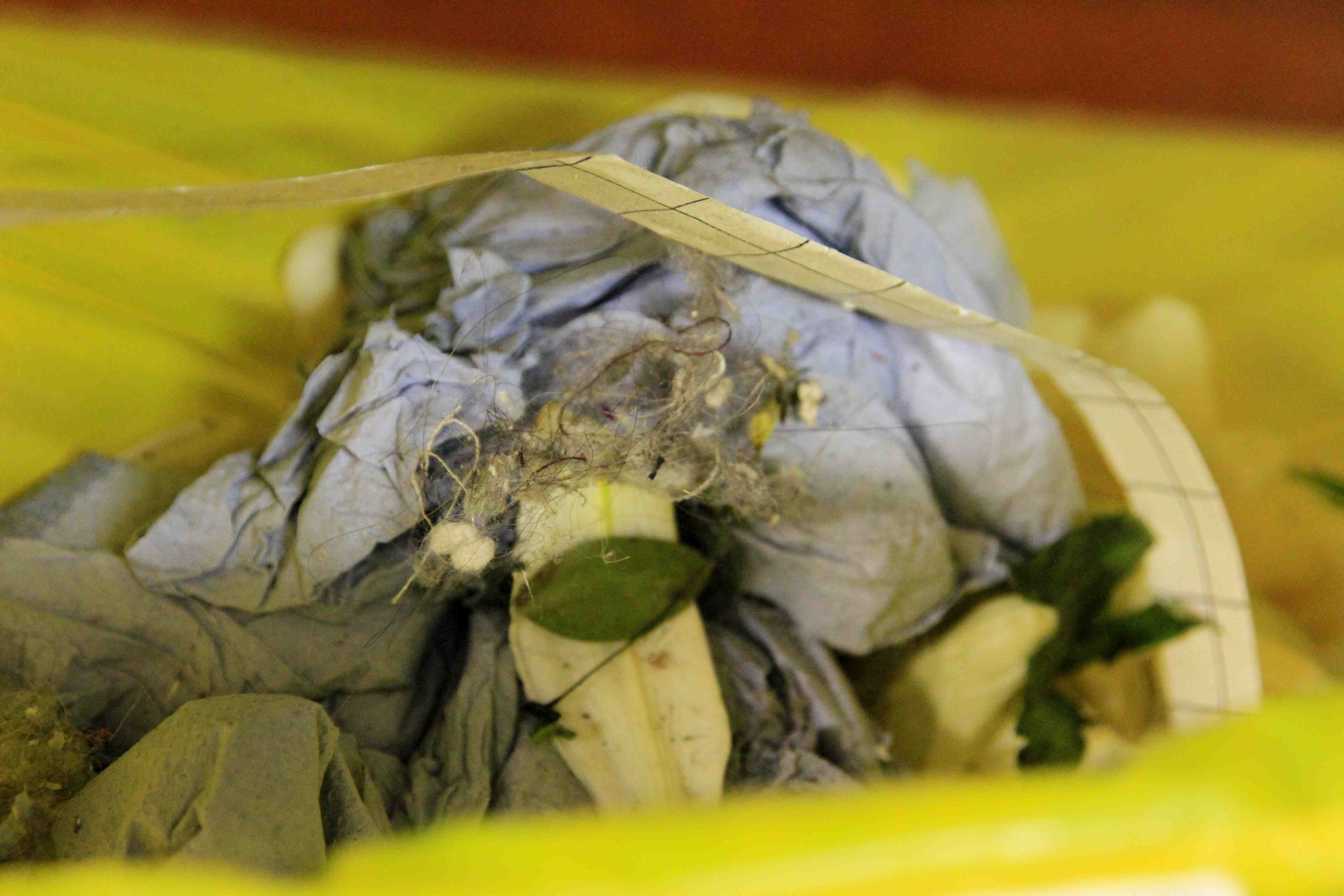 Into That Good Night is a five-year programme of exhibitions and activities at Fabrica, Brighton that explore end of life issues http://t.co/0KVmjippwG