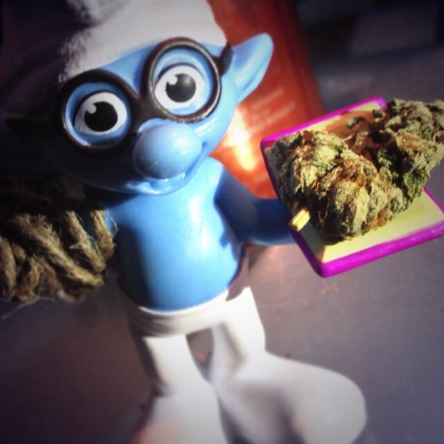 Follow me and ill try to get back and follow you. #stoner #weed #smoketheherb #Canadian 420 all day son.