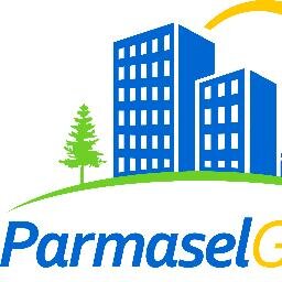 ParmaselGroup's profile picture. 