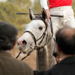 📊AI好きなデータエンジニア｜競馬＆一口馬主ガチ勢 🏇単勝・複勝を“全自動”で予想して楽しんでます 🐴シルク／ロード／広尾で出資中｜馬体・血統も分析派 📢競馬仲間・一口仲間、気軽にフォロー＆絡んでください😊