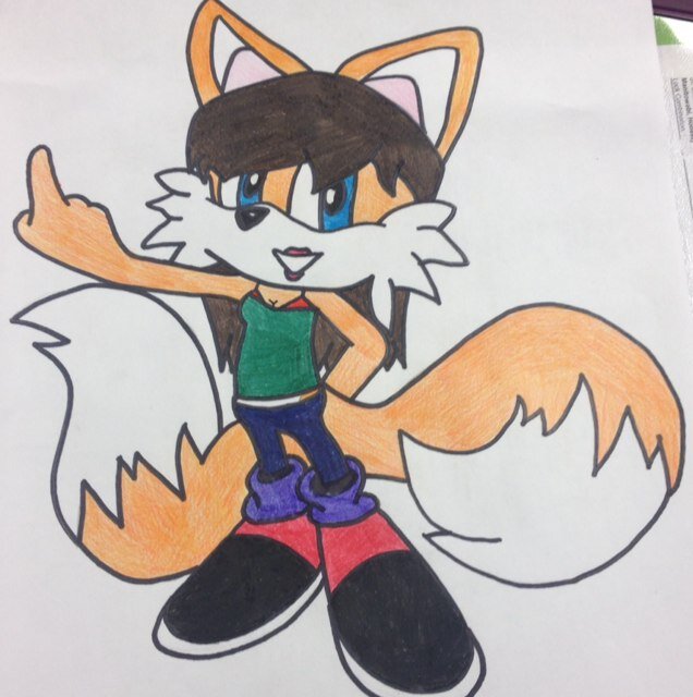 Hey! Im Dakota the Fox! I'm Tails older sister!