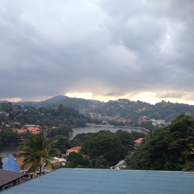 almezn11's profile picture. 