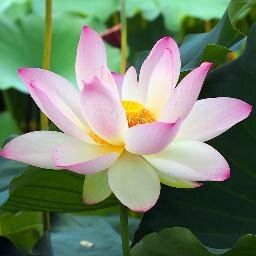 一日一禅　！