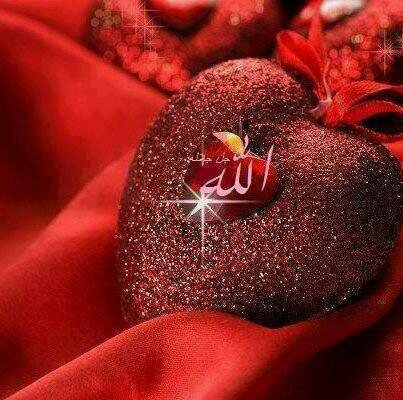 حسبي الله ونعم الوكيل