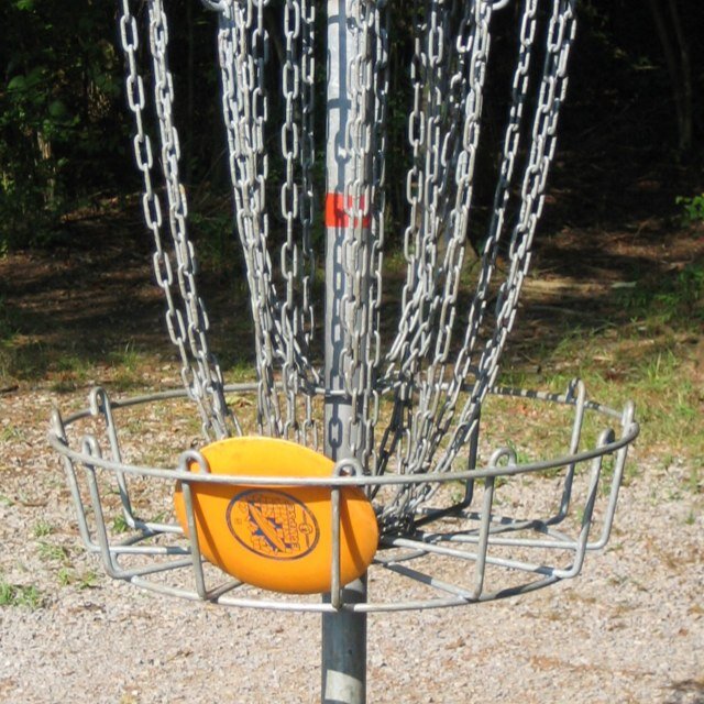 frisbeegolflife's profile picture. Frisbee life post