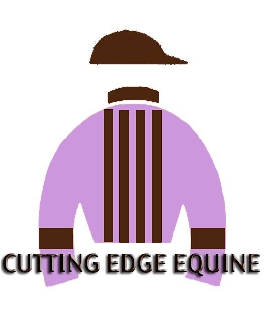 CuttingEdgeEqui's profile picture. Linda Sims - Breaking, Training & Sales
