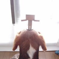 吾 (@1045kg) 's Twitter Profile