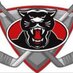 Holliston Hockey (@hollistonhockey) Twitter profile photo
