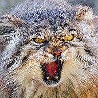 黒添さんのプロフィール画像