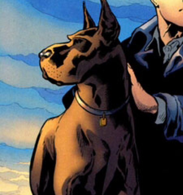 Companion to Damian Wayne [DC RP] [Actions] 'intentions' {Sound}