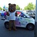 PH Lotteryโ Pilgrims Hospices in East Kent (@phlottery) Twitter profile photo PH Lotteryโ Pilgrims Hospices in East Kent (@phlottery) Twitter profile photo