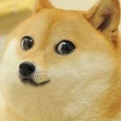 @ShibeReviews