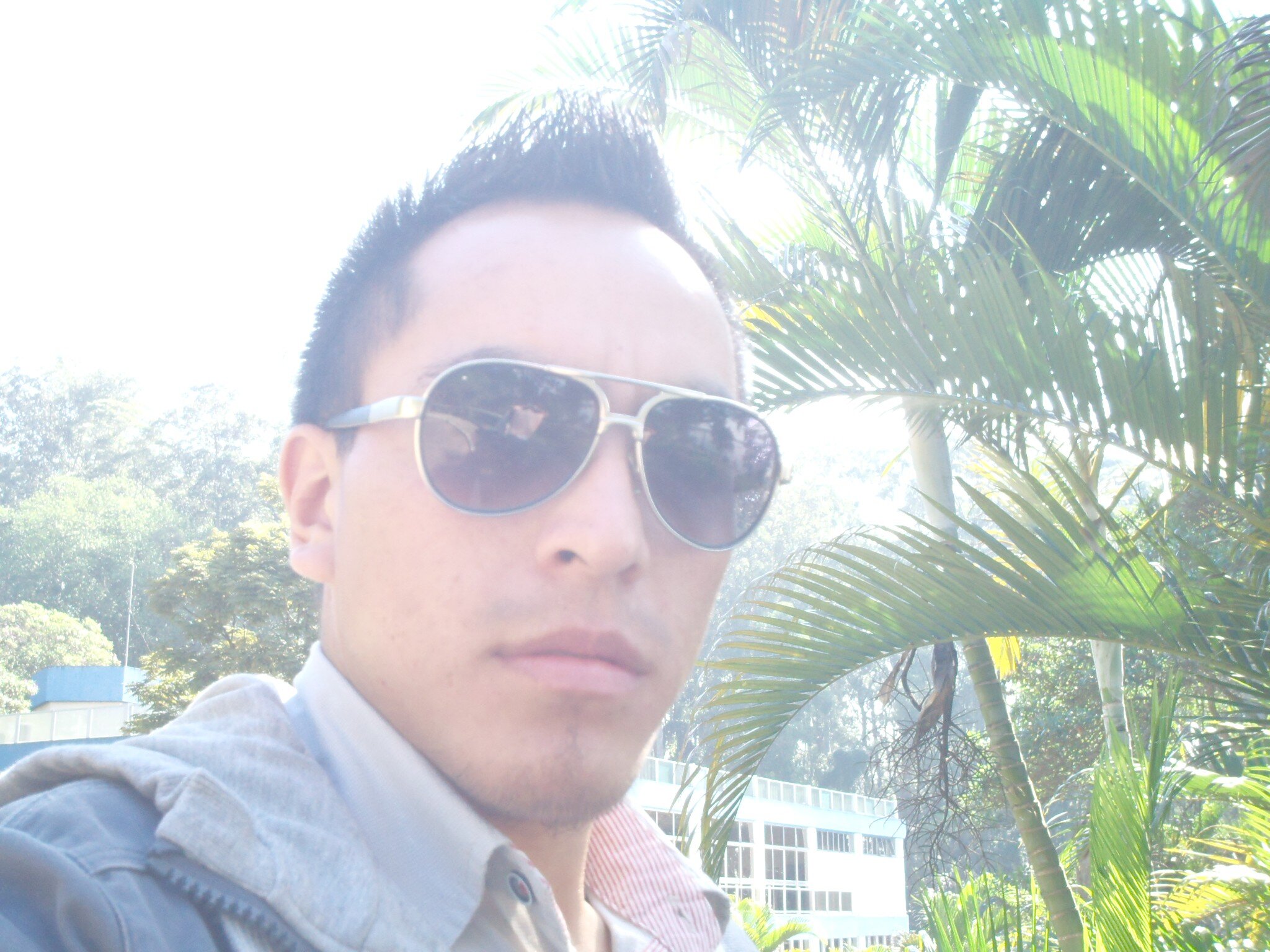 DanielOcampo13's profile picture. 