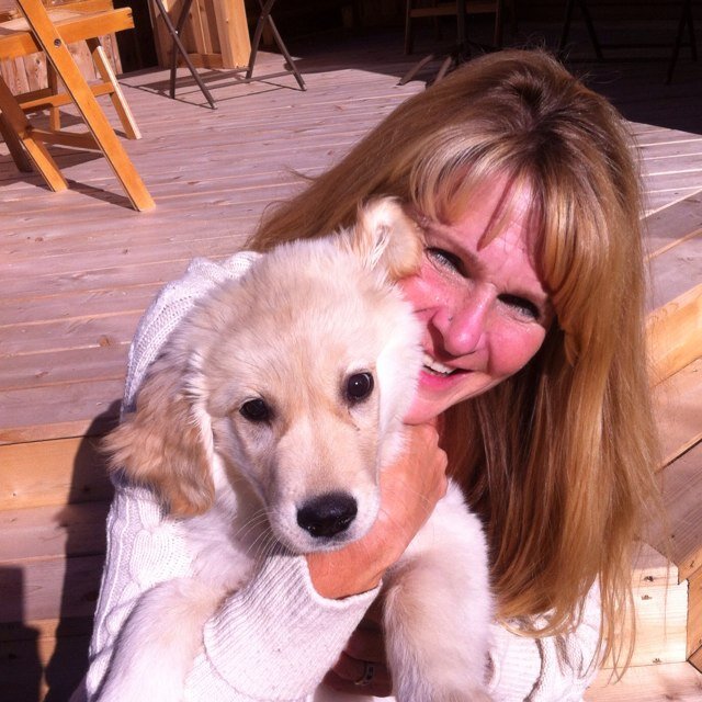 ccampbellallan's profile picture. 