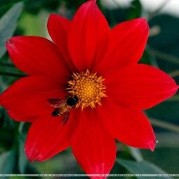 AmitGaurav100's profile picture. 