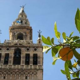 srapiazza's profile picture. 