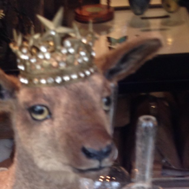 FidgetingFidget's profile picture. 