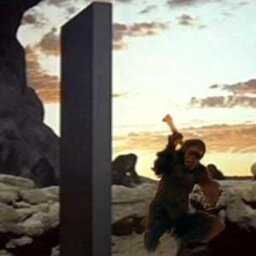 In Wonder