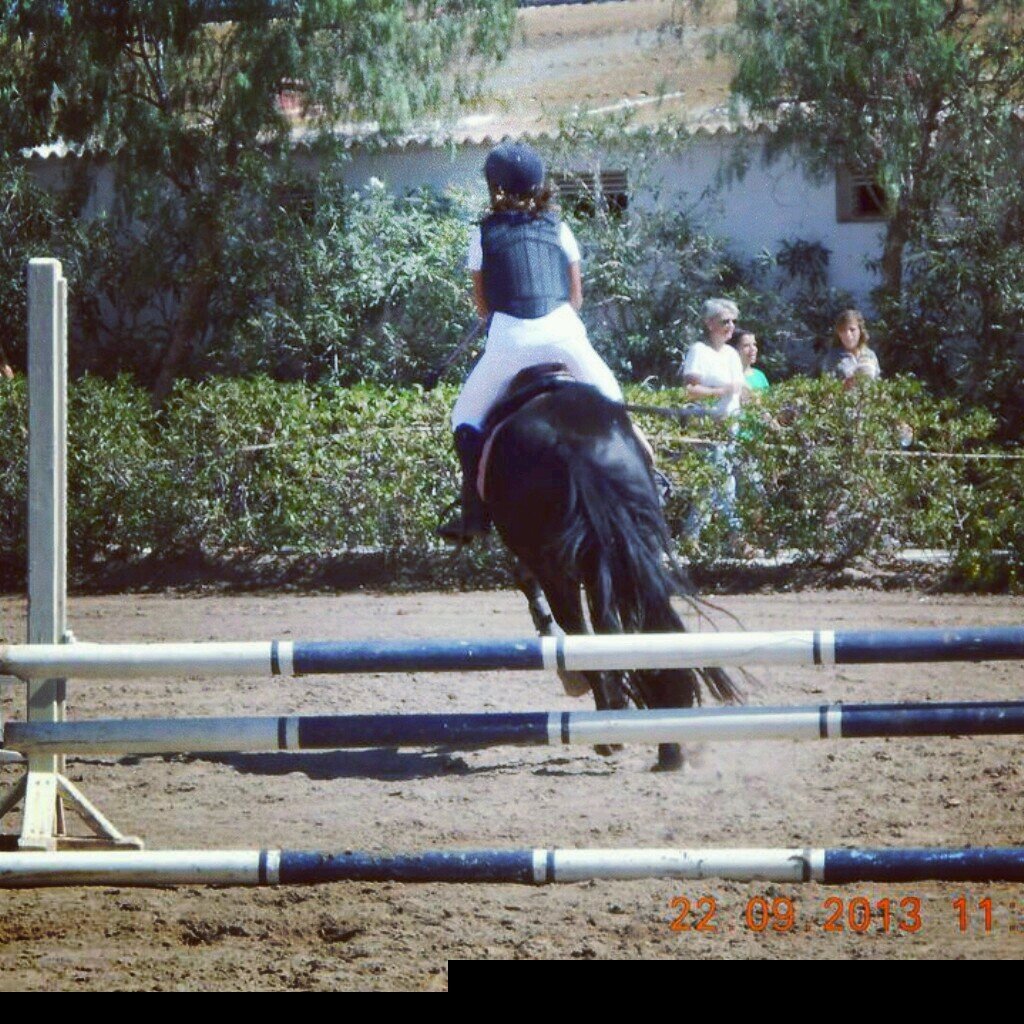 Hipica de Castellon
