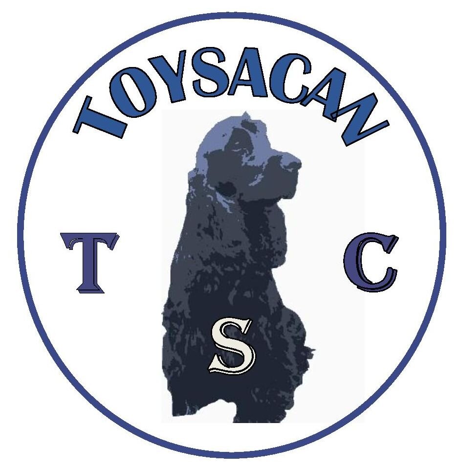 TOYSACAN, Adiestramiento Canino