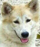 ฟอลมาฟอลกลับบบ♥♥♥