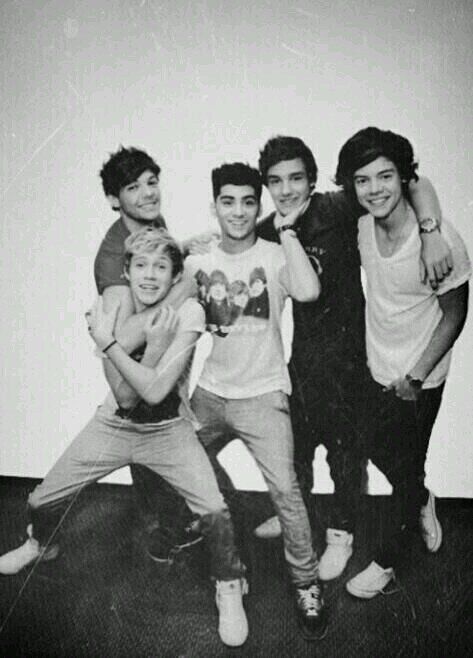 hi, i' m silvia, i'm 14 and i' m a directioner. i love my idols. follow me