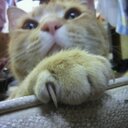 koki (@0697Koki) Twitter