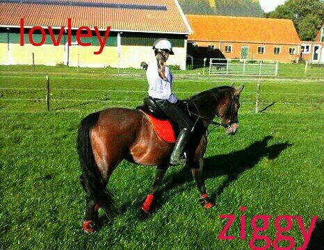 xxmejoxx's profile picture. 