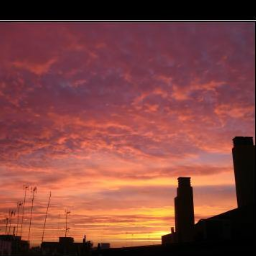 paula_pmmp's profile picture. :D