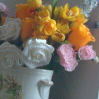 tracy baines (@waterski18) 's Twitter Profile