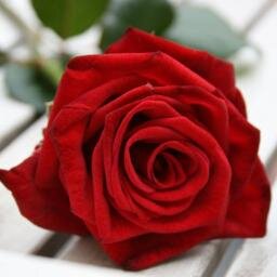 TinabelApachee's profile picture. Muslim ..INELEC student .. Tended to science and technology .. Sports fan ^_^