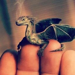 sortinghat96's profile picture. It is our choices that show what we truly are, far more than our abilities