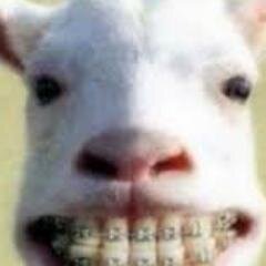 inainadog's profile picture. 東京在住、関西人のアラフォーパパです(^^)/フルマラソン７回出場！最近サーフィン始めました。