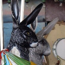 CarouselRabbit's profile picture. Among other things, I am keeper of a blog of exceedingly narrow interest about Lansing sidewalk markings. I also run the Lansing Pinball League.