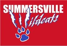 Summersville Grade School, Mt. Vernon, IL 
News and information