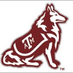 Not affiliated with Texas A&M University. Send your confessions to http://t.co/T1JDYiEyku and we will tweet them!