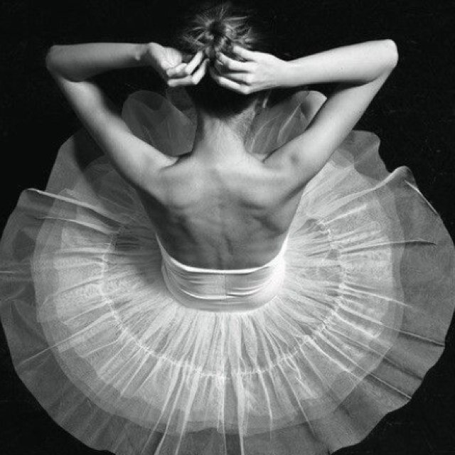 dancerproblems3's profile picture. I just couldnt stay away. Working by ass off to get back on top. Ballerina in the making❤