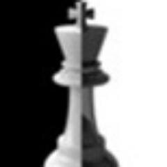 Chess Tournaments Organizer, National Tournament Director, US Chess and International Arbiter, FIDE