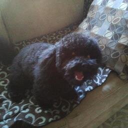 MyAgentGetsIt's profile picture. Fun Loving