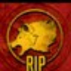 joshrobbins13's profile picture. Loves To Game And Have Fun Also Love Sports