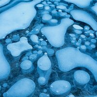 Dr Mark Viner (@forensicxray) 's Twitter Profile Photo