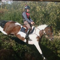 Georgina Andrews (@ginaandrews3) 's Twitter Profile