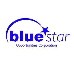 Green Flooring Products - Blue Star Opportunities Corporation owns the Duro-Design brand of industry-leading renewable resource wood flooring products.