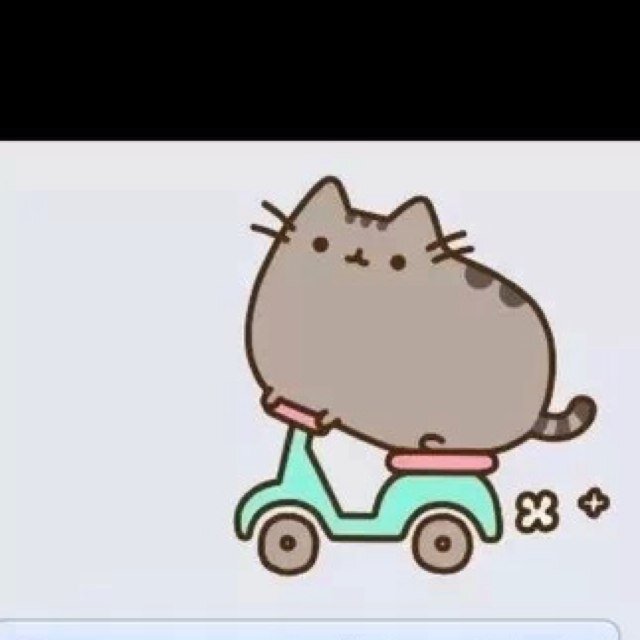 Lolz